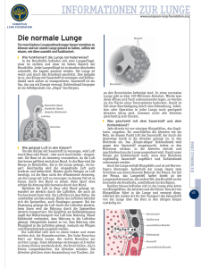Die normale Lunge - European Lung Foundation