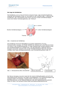 Patienteninfo - Chirurgische Praxis Dr. med. Ingrid Schweizer