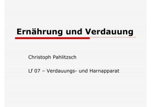 Verdauung - BBS - Christoph Pahlitzsch