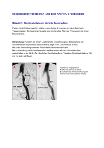 PDF Rekanalisation von Becken- und Bein