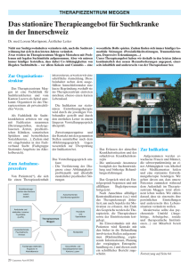 Bericht Luzerner Arzt 2011/02