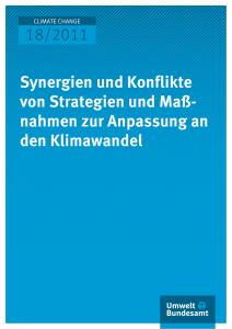 Synergien und Konflikte von Strategien und Maßnahmen zur