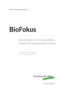 Stammzellen und ihr potentieller Einsatz für therapeutische Zwecke