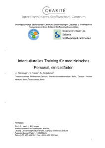 Interkulturelles Training für medizinisches Personal, ein Leitfaden