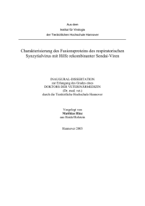 Charakterisierung des Fusionsproteins des respiratorischen