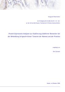 Protein-Expressions-Analysen zur Etablierung prädiktiver