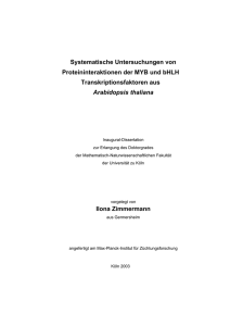 Systematische Untersuchungen von Proteininteraktionen der MYB