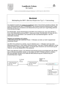 Merkblatt BHV 1 Untersuchung - Samtgemeinde Bevensen