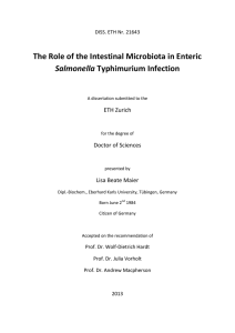 The Role of the Intestinal Microbiota in Enteric - ETH E