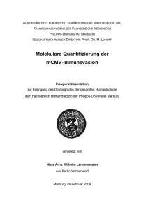 Molekulare Quantifizierung der mCMV