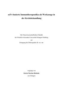 scFv-basierte Immuntherapeutika als Werkzeuge in der