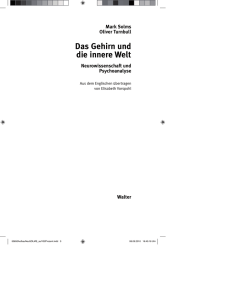 Mark Solms / Oliver Turnbull - Das Gehirn und die innere Welt