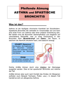 Pfeifende Atmung ASTHMA und SPASTISCHE BRONCHITIS