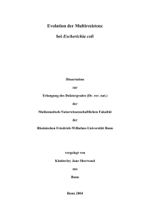 pdf-Dokument - Universität Bonn