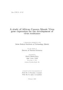 A study of African Cassava Mosaic Virus gene - ETH E
