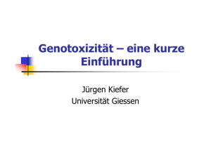 Genotoxizität – eine kurze Einführung