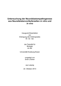 Untersuchung der Neuroblastompathogenese aus