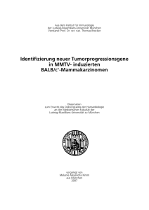 Identifizierung neuer Tumorprogressionsgene in MMTV