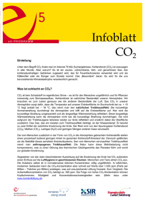 Infoblatt CO2 - e5