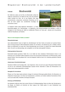 Infoblatt Biodiversität (Druckversion)