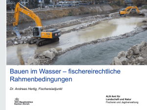 Bauen im Wasser - Referat von A. Hertig, ALN, JFV