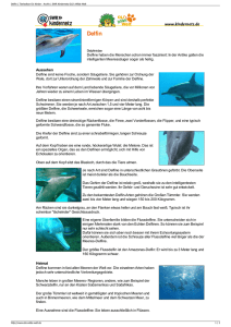 Delfin PDF OLIs Tierlexikon