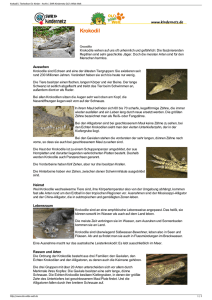Krokodil PDF OLIs Tierlexikon