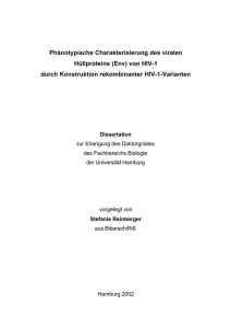 Phänotypische Charakterisierung des viralen Hüllproteins (Env) von