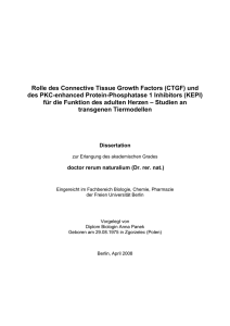 Rolle des ConnectiveTissue Growth Factors (CTGF)