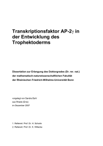 Transkriptionsfaktor AP-2γ in der Entwicklung des Trophektoderms