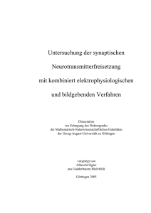 Untersuchung der synaptischen Neurotransmitterfreisetzung mit