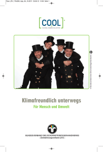 Flyer ZIV CO2OL - Bundesverband des Schornsteinfegerhandwerks