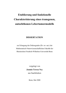 pdf-Dokument - Universität Bonn