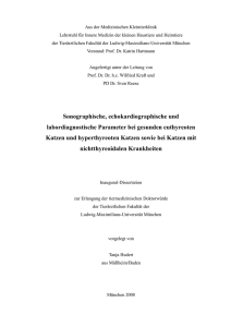 Sonographische, echokardiographische und labordiagnostische