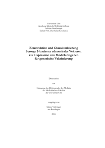 Konstruktion und Charakterisierung Serotyp 5