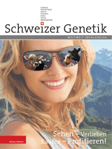 Viehexport: Schweizer Genetik
