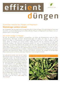 Newsletter als PDF zum Drucken