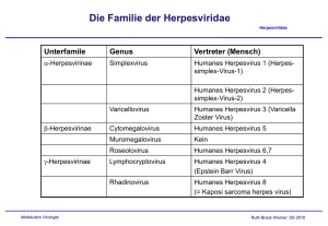 Die Familie der Herpesviridae
