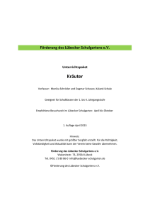 Kräuter - Förderung des Lübecker Schulgartens eV