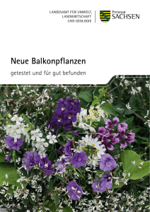 Neue Balkonpflanzen - Publikationen