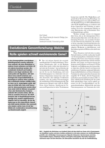 Welche Rolle spielen schnell evolvierende Gene?