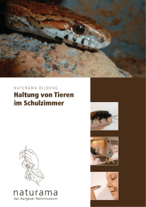 Schulraum Zoo-in Bearbeitung.indd