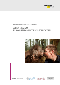 Leben im Zoo. Schönbrunner Tiergeschichten