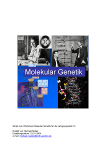 Skript zum Workshop Molekular Genetik für die Jahrgangsstufe 12