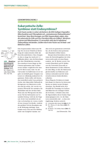 Eukaryotische Zelle: Symbiose statt Endosymbiose? - Wiley-VCH