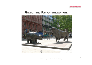 Finanz- und Risikomanagement