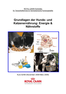 Grundlagen der Hunde- und Katzenernährung