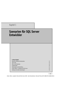 Szenarien für SQL Server Entwickler