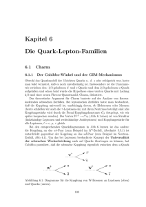 Kapitel 6 Die Quark-Lepton-Familien