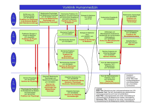 Vorklinik Humanmedizin
